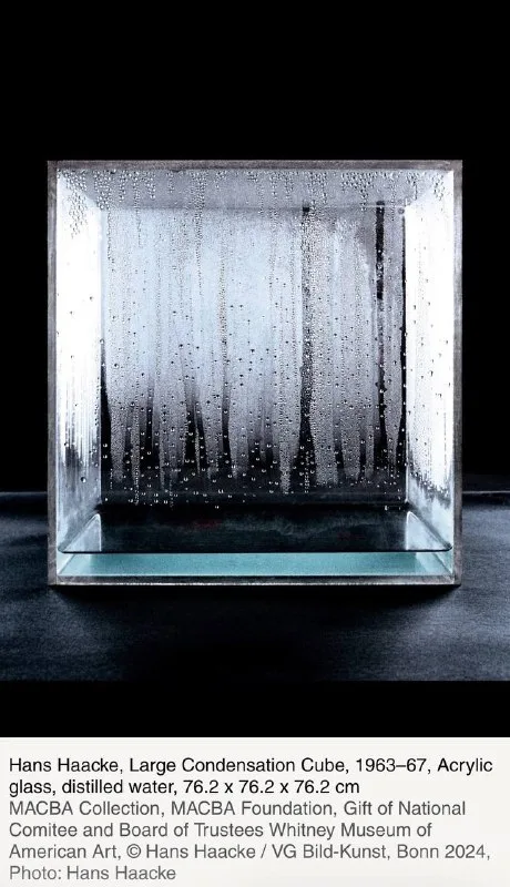 Работа «Large Condensation Cube»: прозрачный куб с каплями конденсата на стенках.