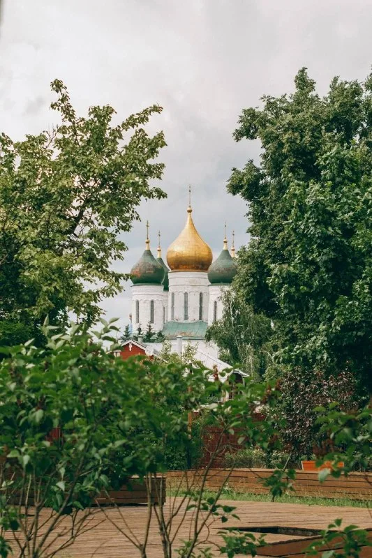 Купола православного собора за зелеными деревьями в Коломне
